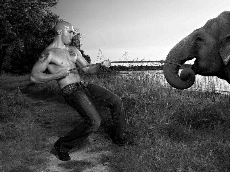 Creative composite portrait of a man pulling against an elephant with a rope beside a lakeshore, photographed in dramatic black and white.