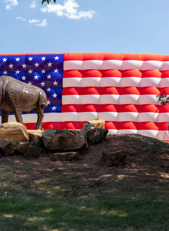 Buffalo statue standing on a rock display in front of a large inflatable American flag during Yukon Freedom Fest.